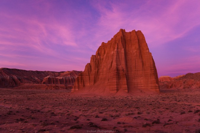 Chakraborty_S_Temple of the Sun