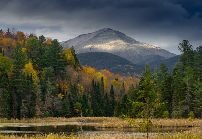 Chakraborty_S_Transition